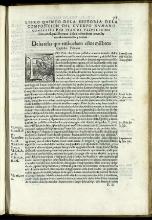 El Libro Quinto tiene XI. Capitulos.
