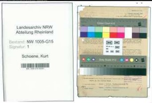 Entnazifizierung Kurt Schoene , geb. 22.08.1902 (Fabrikdirektor)