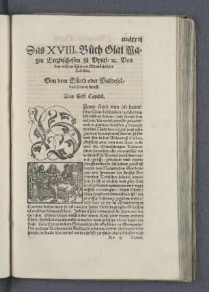 Das XVIII. Buch Olai Magni Ertzbischoffen zu Vpsal rc. Von den wilden Thieren Mitnächtiger Länder.