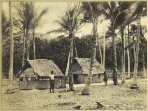 Gehöft auf Nauru (Hamburger Südsee-Expedition 1908-1910)
