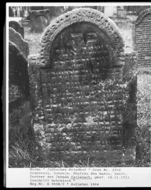 Grabstein der Schönle, Ehefrau des Aaron, Levit, Tochter des Jehuda Carlebach (gestorben 1711.11.16)