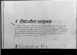 Hagnau Stiftungsurkunde der Familie von Steffelin aus dem Kirchenbuch
