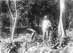 Personenaufnahme : Person inmitten einer Vegetation