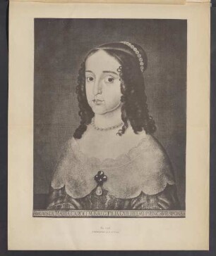 No. 1338