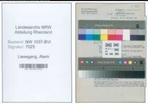 Entnazifizierung Alwin Liesegang , geb. 28.07.1903 (Werkmeister)