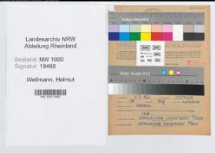 Entnazifizierung Helmut Wellmann, geb. 18.07.1922 (Kaufm.Angest.)