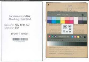 Entnazifizierung Theodor Bruns , geb. 13.02.1900 (Kreisbauinspektor)