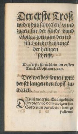 Der erste Trost wider das schrecken/ unnd zagen fur der sünde unnd Gottes zorn aus den tröstlichen verheissungen der heiligen schrifft.