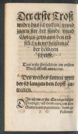 Der erste Trost wider das schrecken/ unnd zagen fur der sünde unnd Gottes zorn aus den tröstlichen verheissungen der heiligen schrifft.