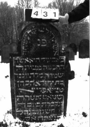 Grabstein 431