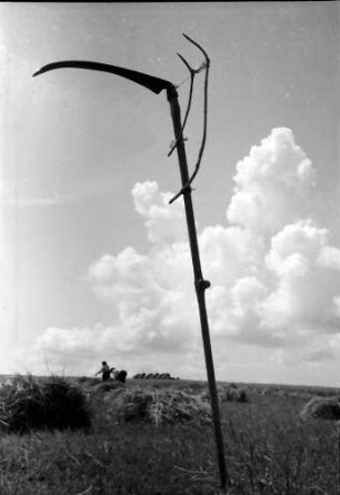 Nepotrowo: Sense vor Wolkenhimmel