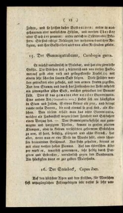 16. Der Steinbock, Capra iber.