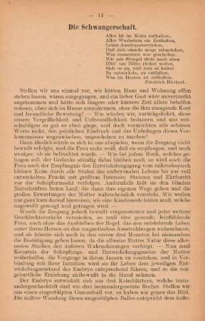 Die Schwangerschaft