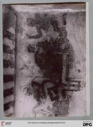 8622 Dettaglio affreschi nella Tomba della Pulcella - Corneto