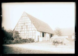Scheuer
