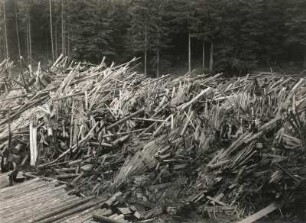 Unwetterkatastrophe im Osterzgebirge am 8./9. Juli 1927. Müglitztal. Holzbarre (angeschwemmtes Holz) bei Bärenstein