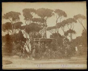 Villa Doria Pamphili (Park), Rom: Brunnen