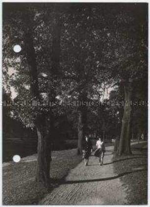 Parkweg, Herbst