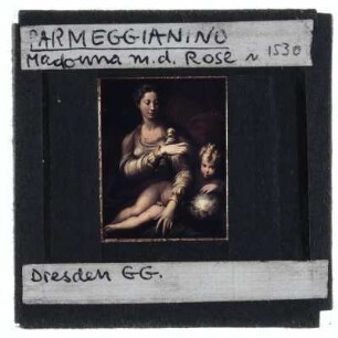 Parmigianino, Die Madonna mit der Rose