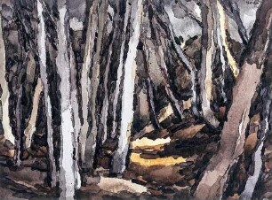 Waldstück mit Buchen