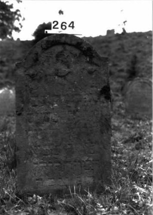 Grabstein 264