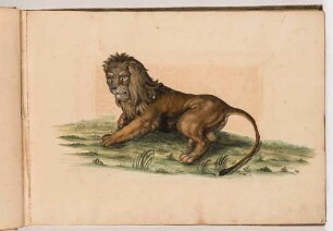 Liegender Löwe, im Klebeband "Gemahlte Wilde Thiere"