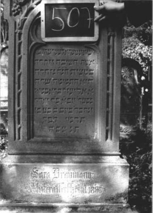 Grabstein 507 (Index: 99895519) Material: Sandstein Zustand: gut Maße HxBxT: 172x51x20 cm Beschreibung: Stele mit giebelartigem Abschluss, rechteckig erhöht; profilierter Sockel Symbolik: Weinranken, -trauben: Grabstein 507 (2)