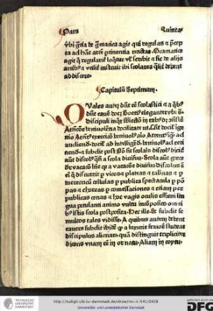 Capitulum septimum.