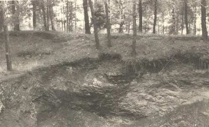 Abbau von Schiefer am Eichberg bei Hermsdorf bei Dresden : Wudobywanje šćěpjela pola Hermsdorfa blisko Drježdźan