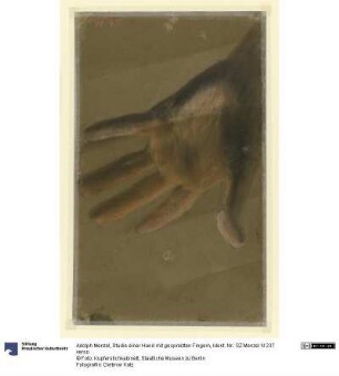 Studie einer Hand mit gespreizten Fingern