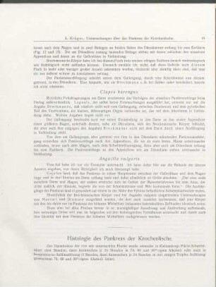 Histologie des Pankreas der Knochenfische.