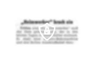 "Heimwerker" brach ein