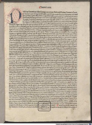 Comoediae : mit Kommentar von Aelius Donatus und Johannes Calphurnius (zu Heauton Timorumenos)