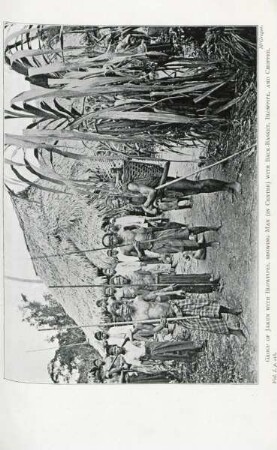 Group of Jakun with blowpipes, ...