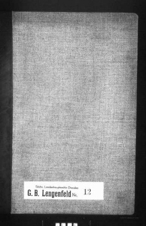 Gerichtshandelsbuch der Stadt Lengenfeld, Bd. 12