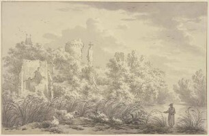 Ruwine van het Slot de Egmont