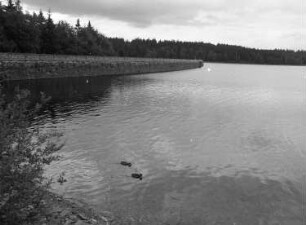 Grünbach-Muldenberg. Talsperre Muldenberg. Blick über das Wasser gegen Uferbefestigung