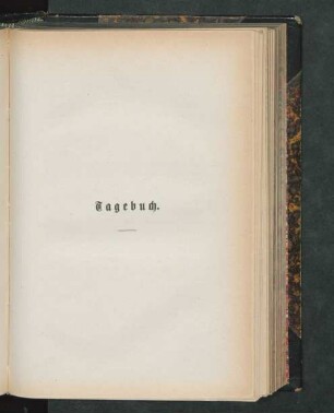 Tagebuch.