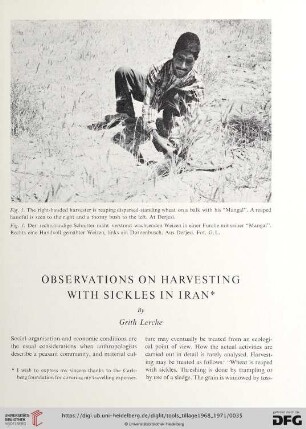 Observations on harvesting with sickles in Iran