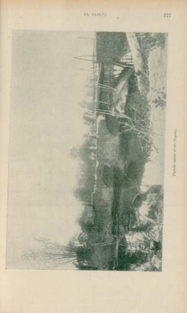 Puente sobre el río Zapote