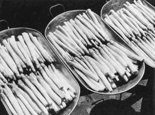 Gifhorn, Konservenfabrik, Spargel : Gifhorn. Konservenfabrik, geschälte Spargelstangen