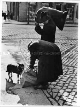 Altes Paar mit Hund und gesammelten Marktabfällen
