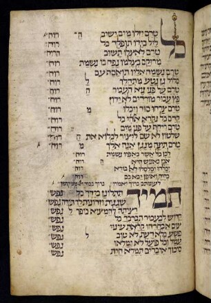 Buchschmuck: f. 61r-61v