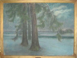 unbenannt [Bodennebel]
