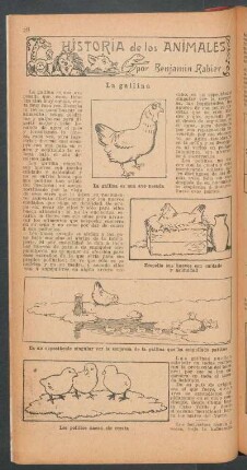 La gallina : Historia de los animales