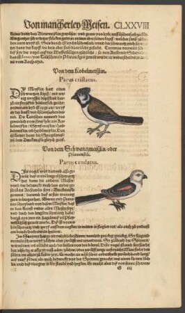 Von dem Kobelmeißlin. Parus cristatus.