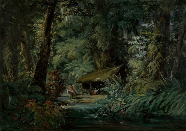 Cabaña en la selva tropical con un jinete enfrente - Colima ( ?)