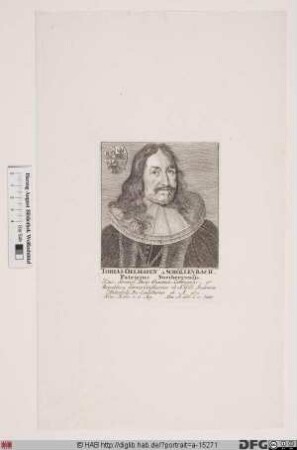 Bildnis Tobias Oelhafen (von Schöllenbach)