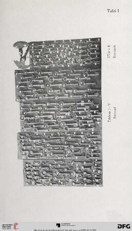 Tafel I-XIII