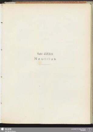 Tafel LXXXIII. Nautilus